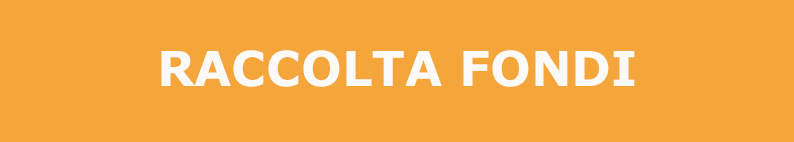 volontariato per la raccolta fondi